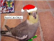 Merry X-Mas