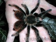 freaky or what??