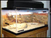 Chubba's new tank