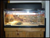 Chubba's tank veiw 2