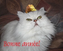 Happy new year