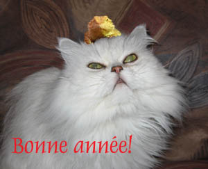 Happy new year