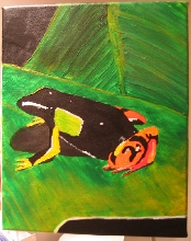 painted mantella painting