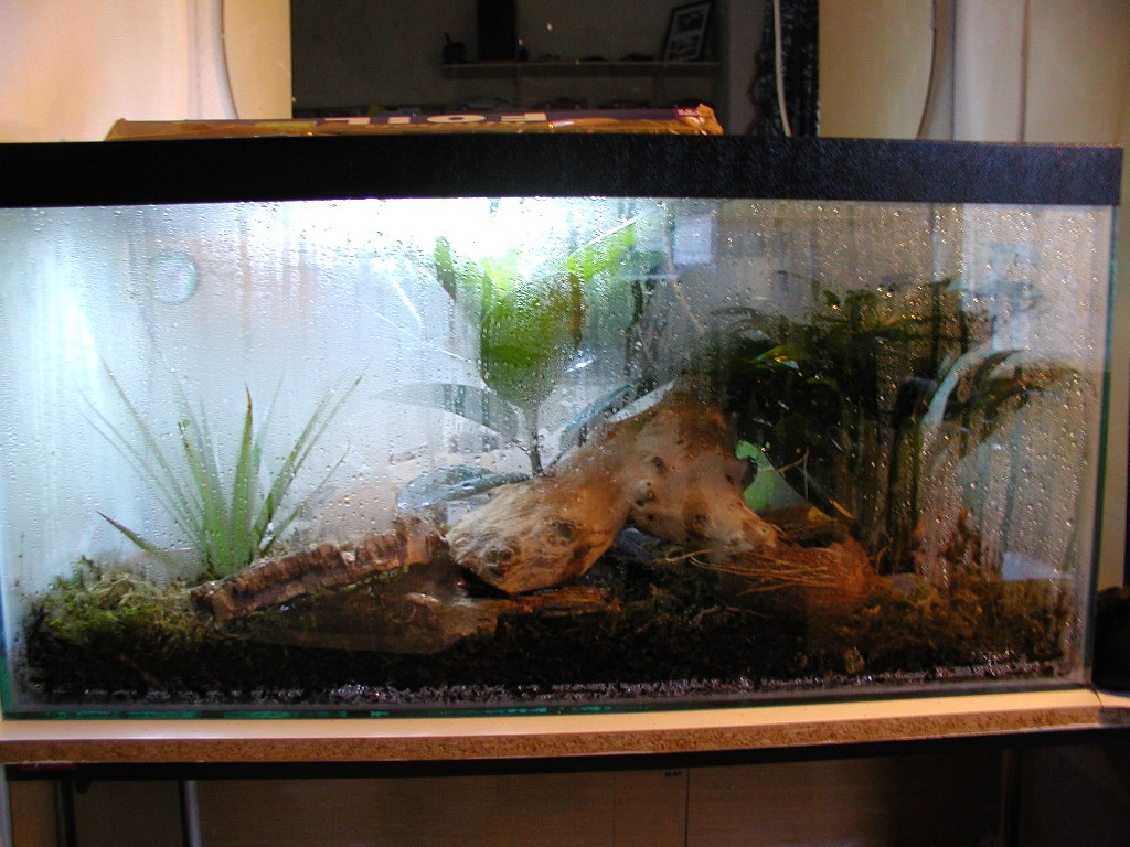 Tank setup
