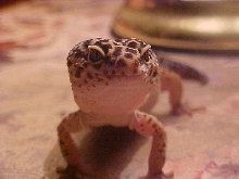Smile ;)