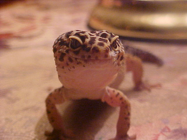 Smile ;)