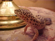 STRIKE A POSE!