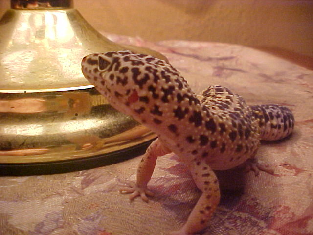 STRIKE A POSE!