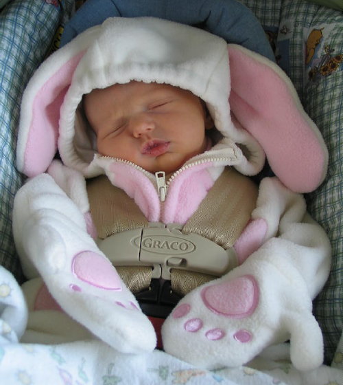Easter bunny
