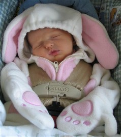 easter bunny