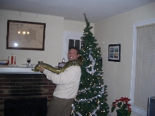 Snake removal