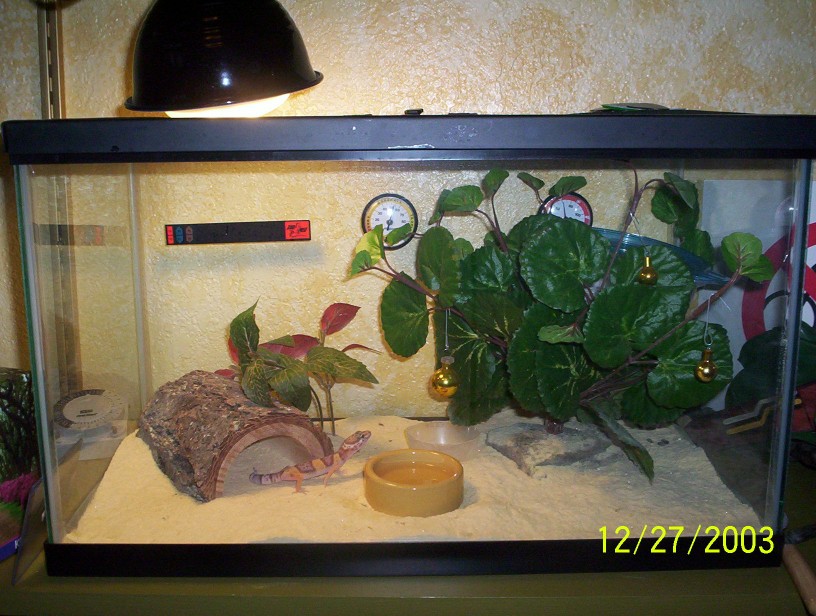 My friends cage