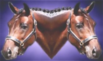 Grom Kiev Mirror image