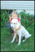 Madison and Miss Lily