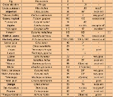C Chart 2