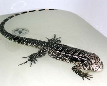 Little soak after 5 days sleeping 2