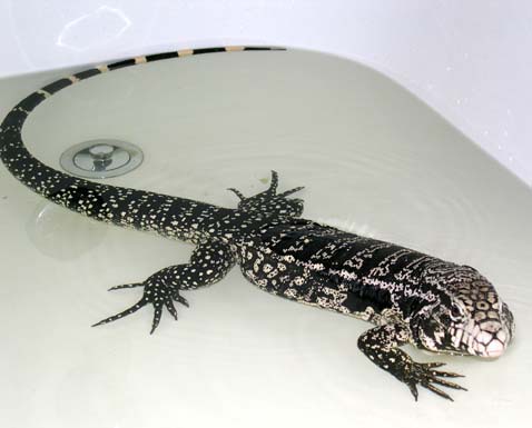 Little soak after 5 days sleeping 2
