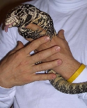 Lucky in my arms