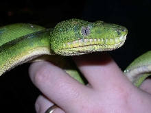 ETB