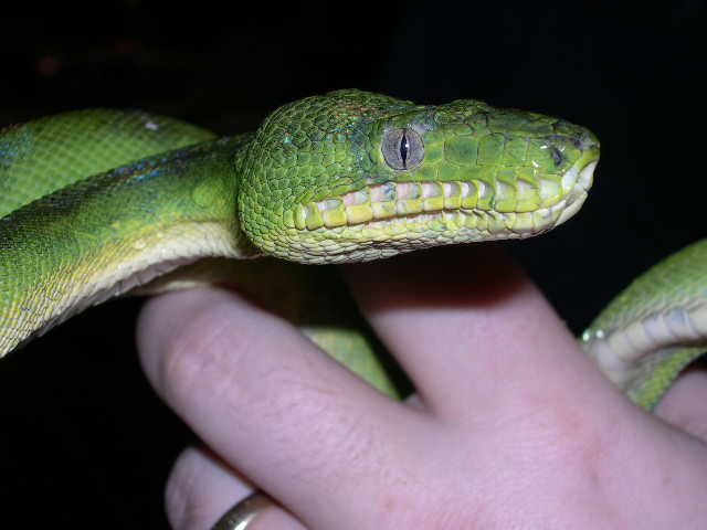 ETB