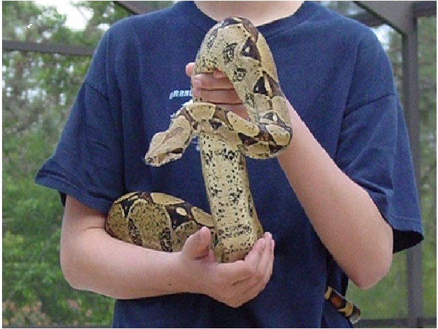 me w/ flicker in blue shirt