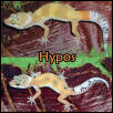 Hypos