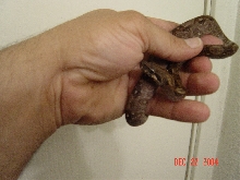 Nicaraguan that I'm getting - 2