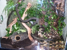 Updated Whites Enclosure