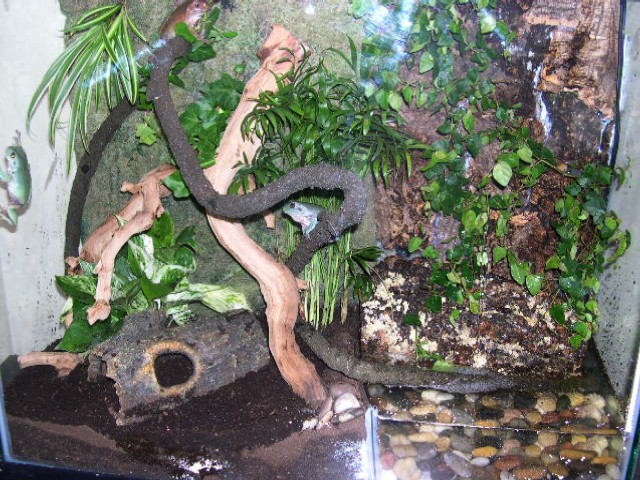 Updated Whites Enclosure