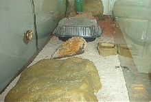 Cage Large 1