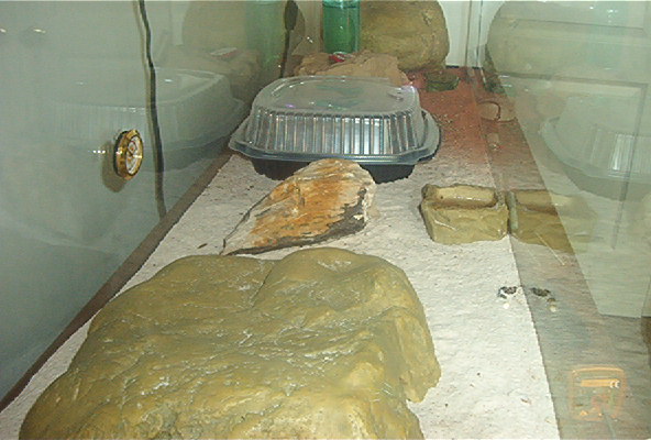 Cage Large 1