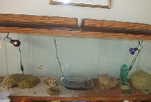 Cage Large 2