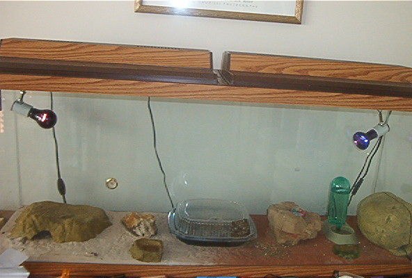 Cage Large 2