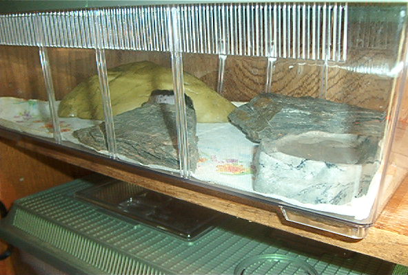 Cage small