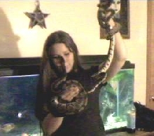 me and my three ball pythons!