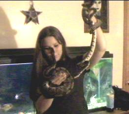 me and my three ball pythons!