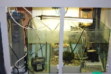 simple sump
