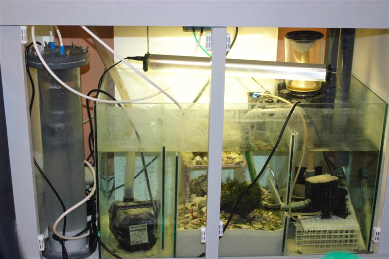 simple sump