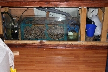 sump filter