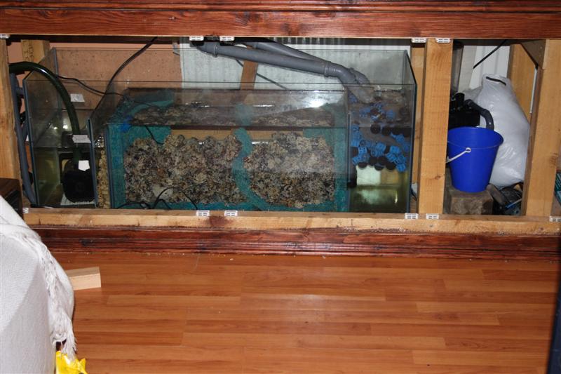 sump filter