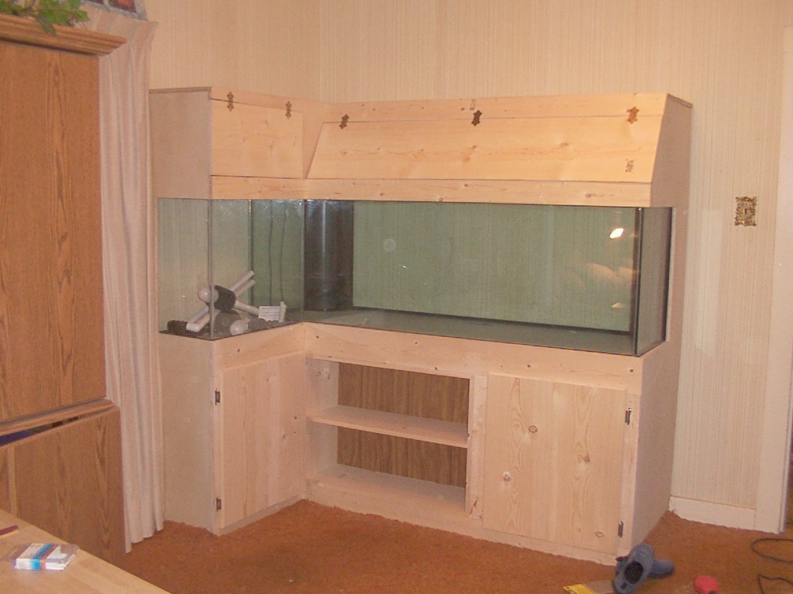 DIY stand & canopy