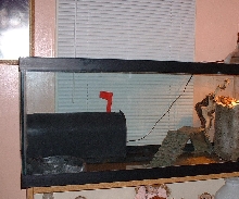 Tank1