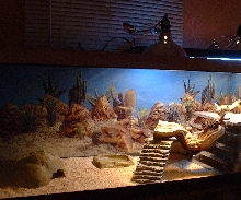 EuroTank1