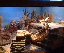 Eurotank2