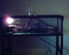 My cage 1