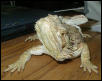 Dragon stacking