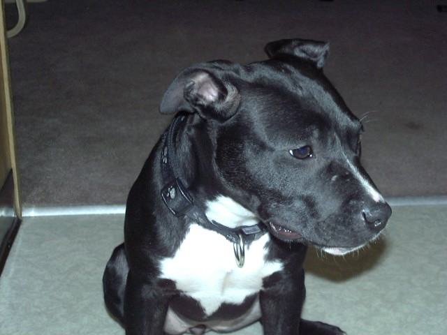 quincy's girl friend