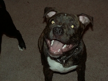 quincy jones smiling