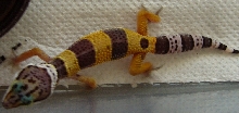 Gecko 3