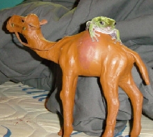 Brimsby the Stallion